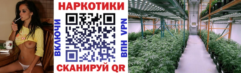Купить ГАШИШ  Галлюциногенные грибы  Мефедрон  СК  Каннабис  Cocaine  Москва