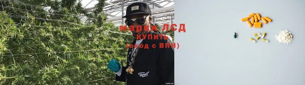 крисы Вяземский