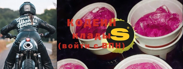 крисы Вяземский