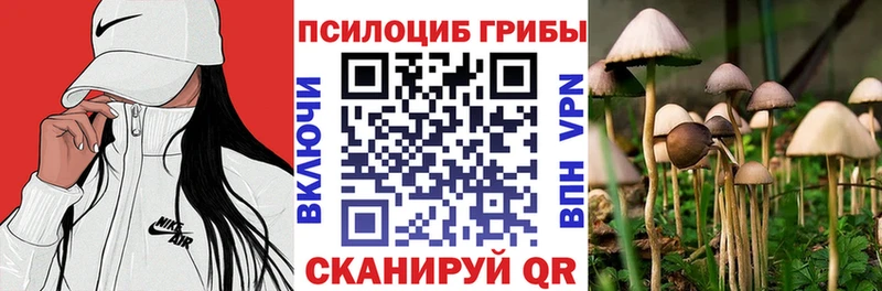 Купить где  Москва  Псилоцибиновые грибы мицелий 